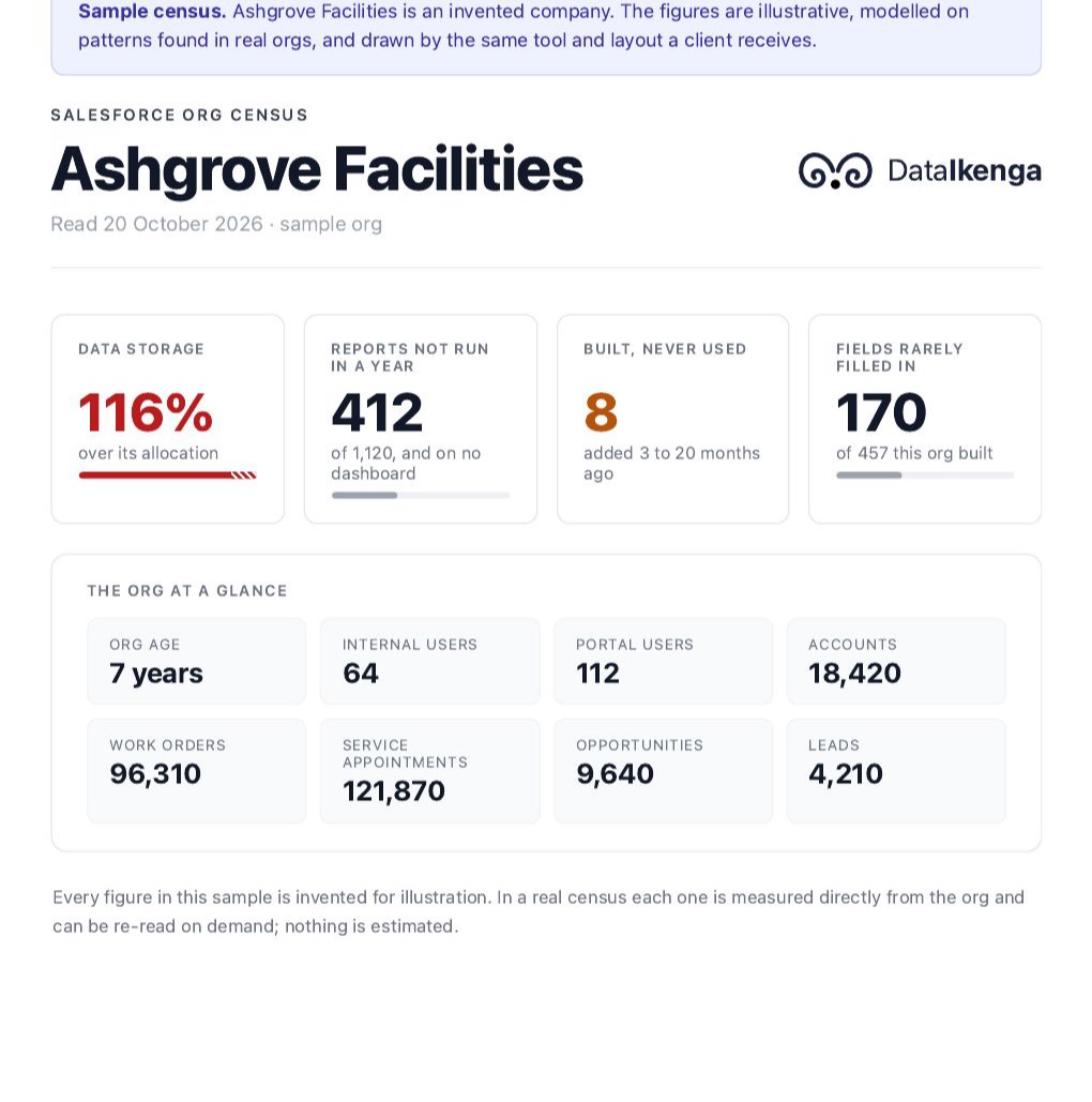 Cover of a sample census for an invented company, Ashgrove Facilities: storage at 116% of its allocation, 412 reports not run in a year.